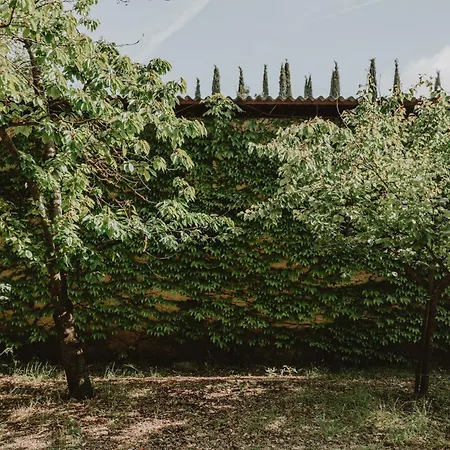 Agro Centorio Appartement Cortone