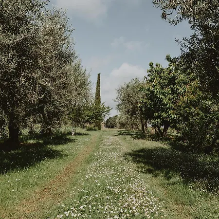 Agro Centorio Apartment Cortona